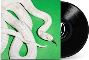 Deftones - Private Music (Vinyl LP)