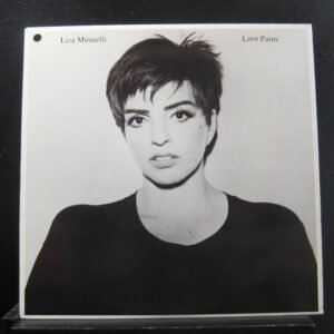 Liza Minnelli Love Pains vintage pop dance vinyl Bangladesh