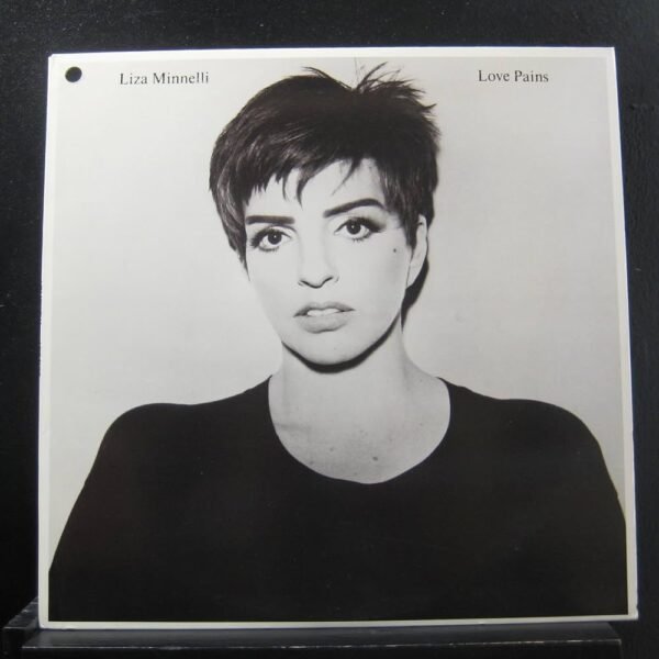 Liza Minnelli Love Pains vintage pop dance vinyl Bangladesh
