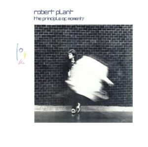Robert Plant - The Principle Of Moments (Vinyl LP)