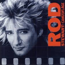 Rod Stewart - Camouflage (Vinyl LP) Rod Stewart - Camouflage (Vinyl LP)