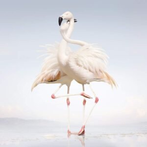 Rustie – Green Language [Vinyl LP]