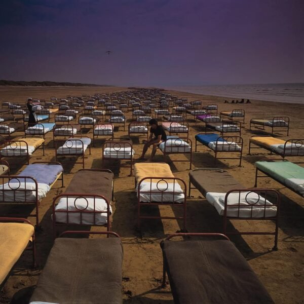 Pink Floyd – A Momentary Lapse of Reason [Vinyl LP]