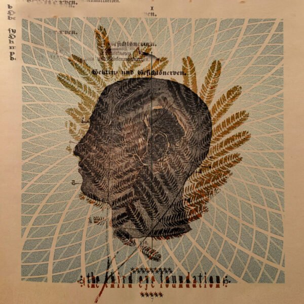 The Third Eye Foundation – Wake the Dead [Vinyl LP]
